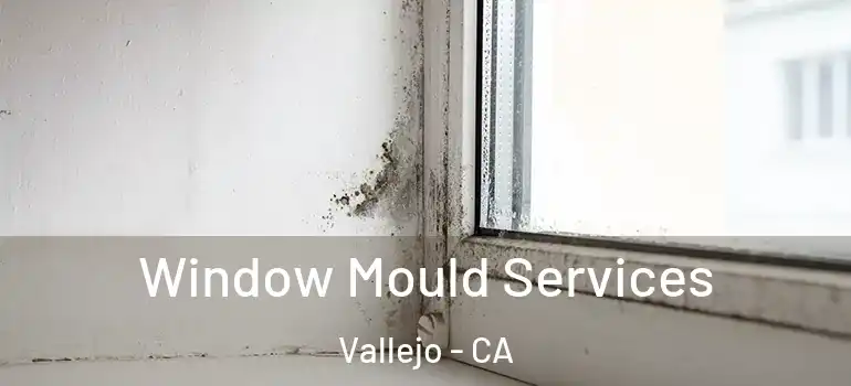  Window Mould Services Vallejo - CA